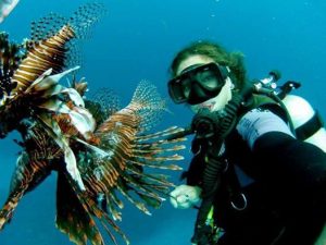 First Aid for Hazardous Marine Life Injuries - Scuba Shack Cape Town