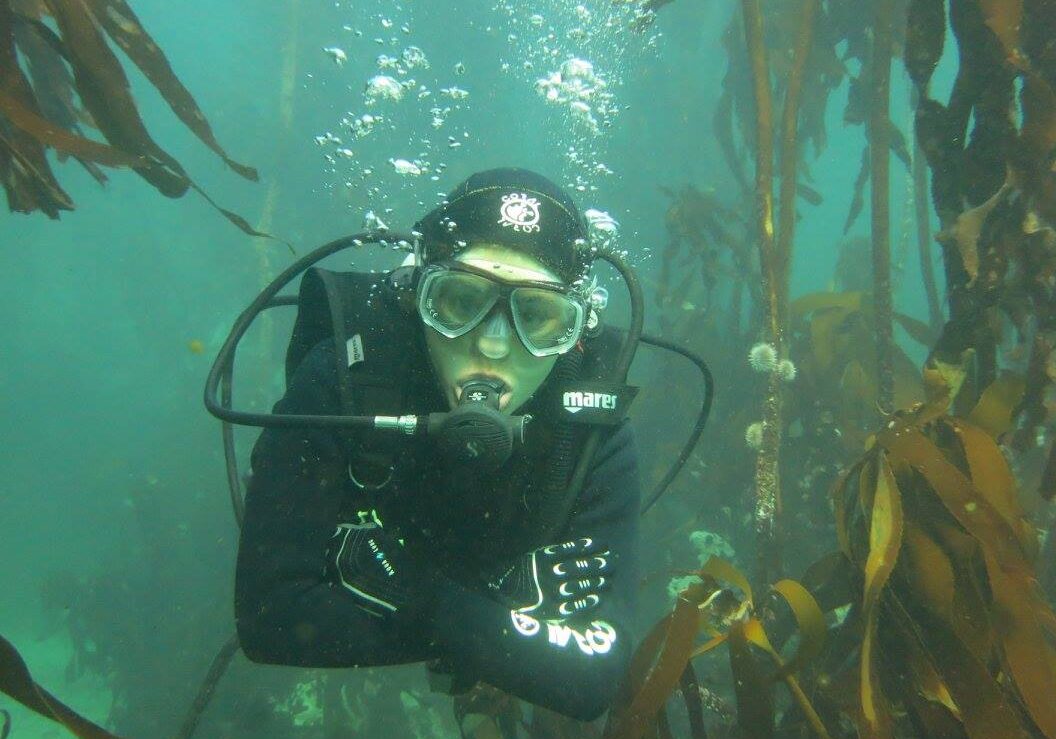 18193411_1305676756168477_5749429175093813809_o