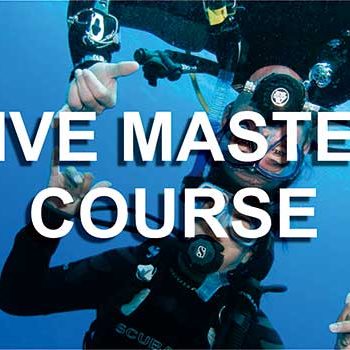 Dive-Master-Course-Indonesia